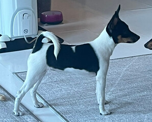 Aria, 14 uker