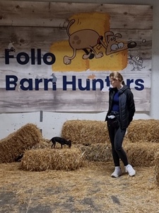 Barn hunt 4